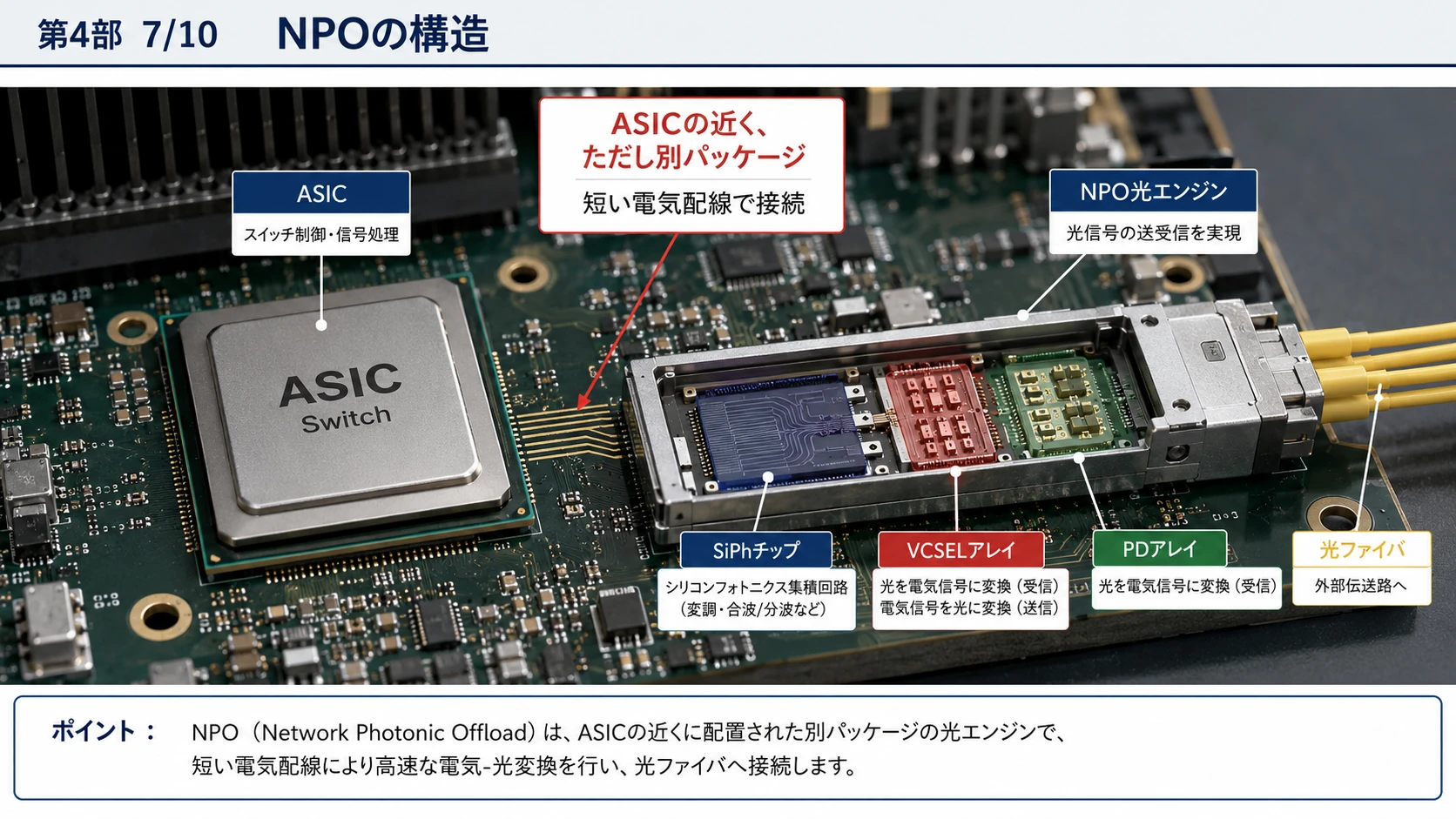 NPO・CPOの構造と配置差 01