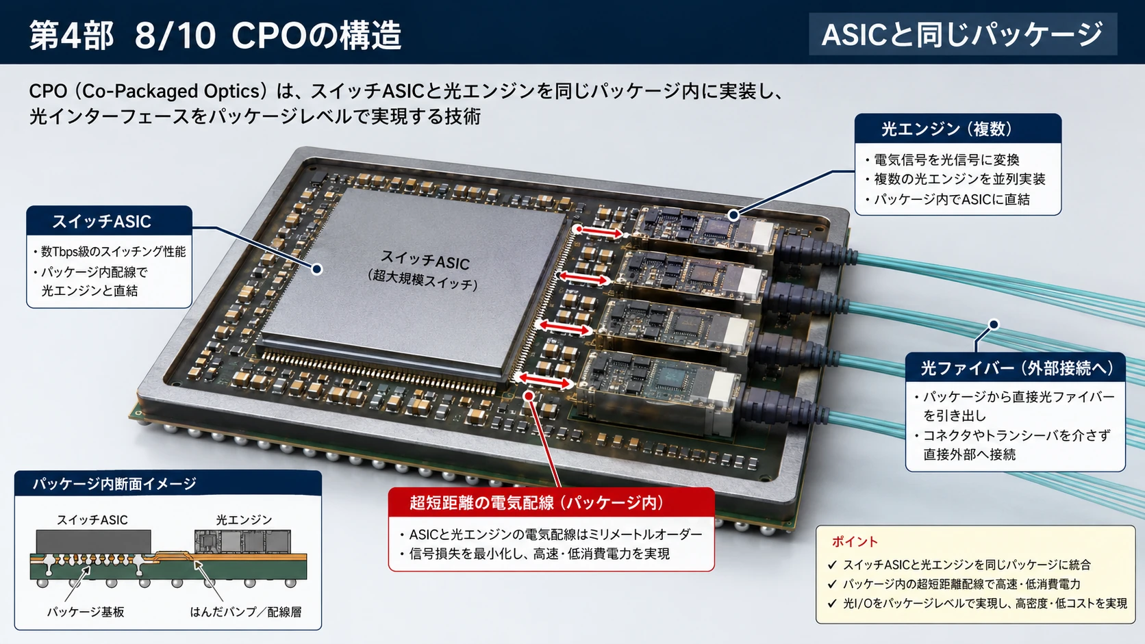 NPO・CPOの構造と配置差 02