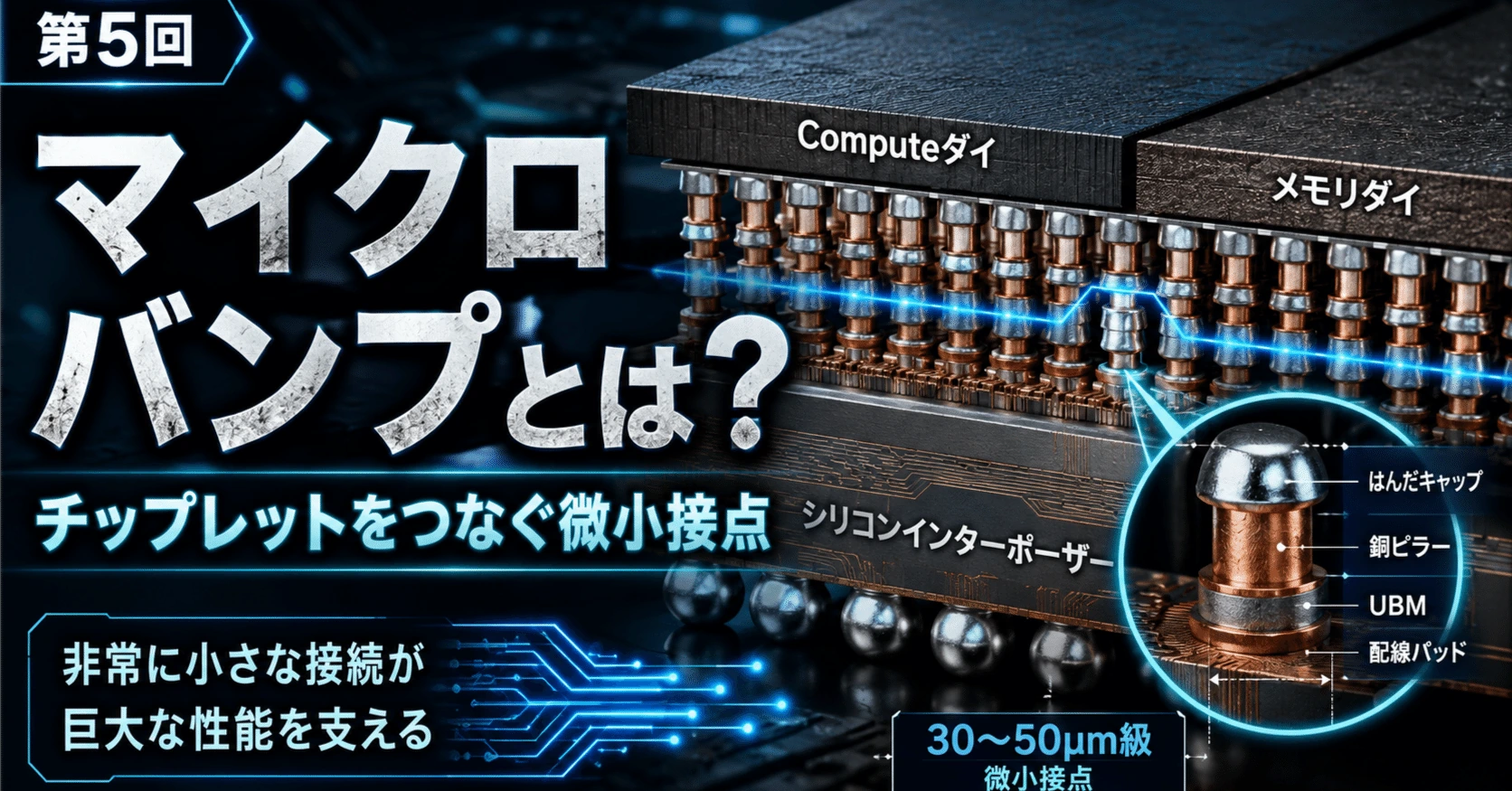 記事内の画像