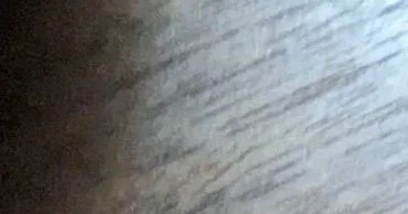 記事内の画像
