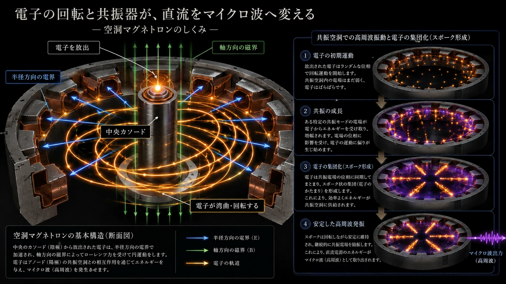 記事内の画像