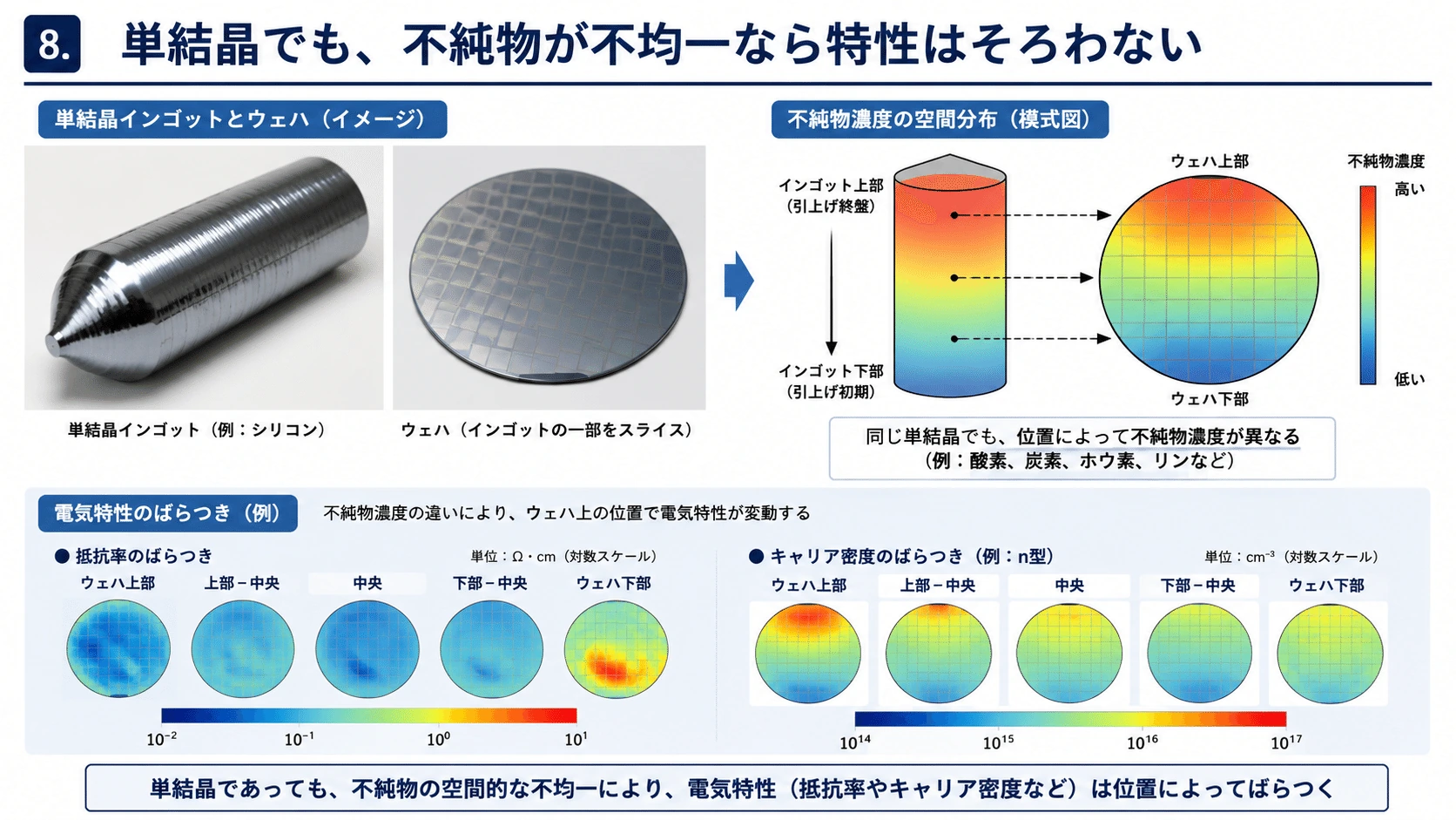 記事内の画像