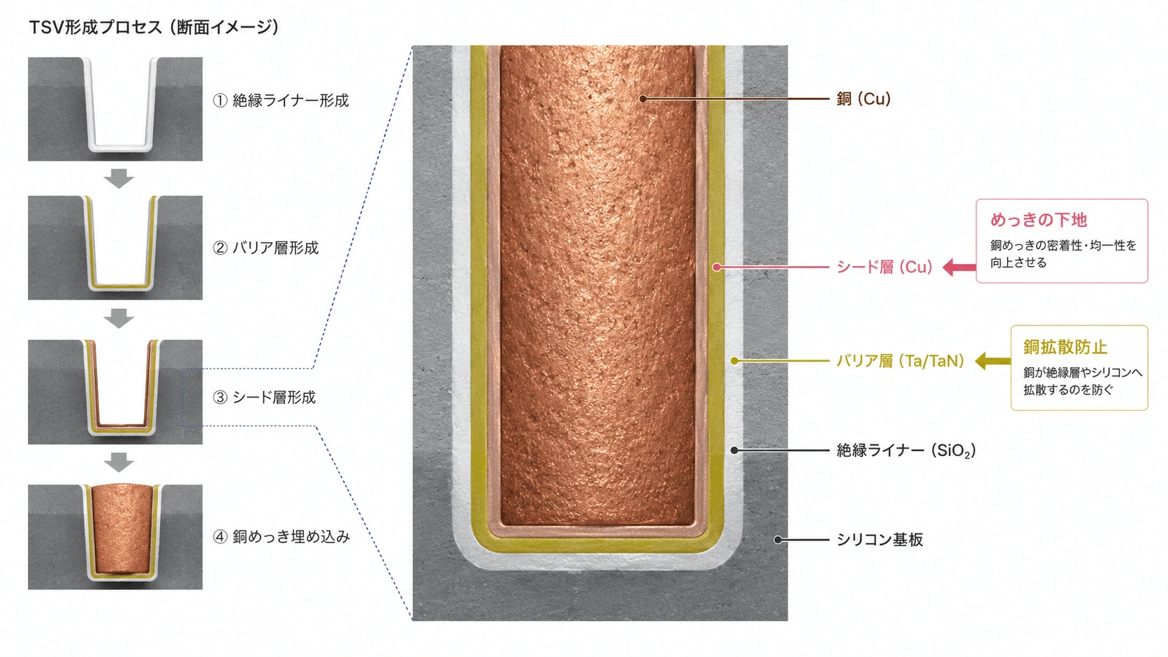 記事内の画像