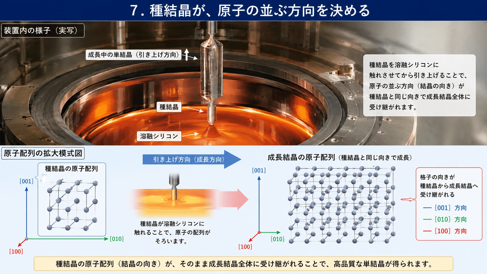 記事内の画像