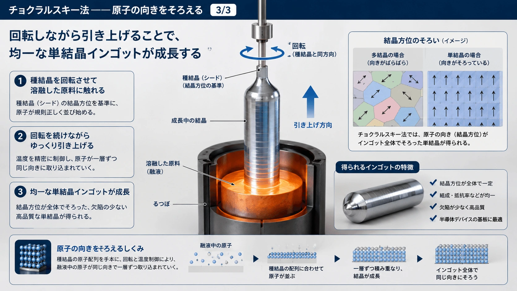 記事内の画像