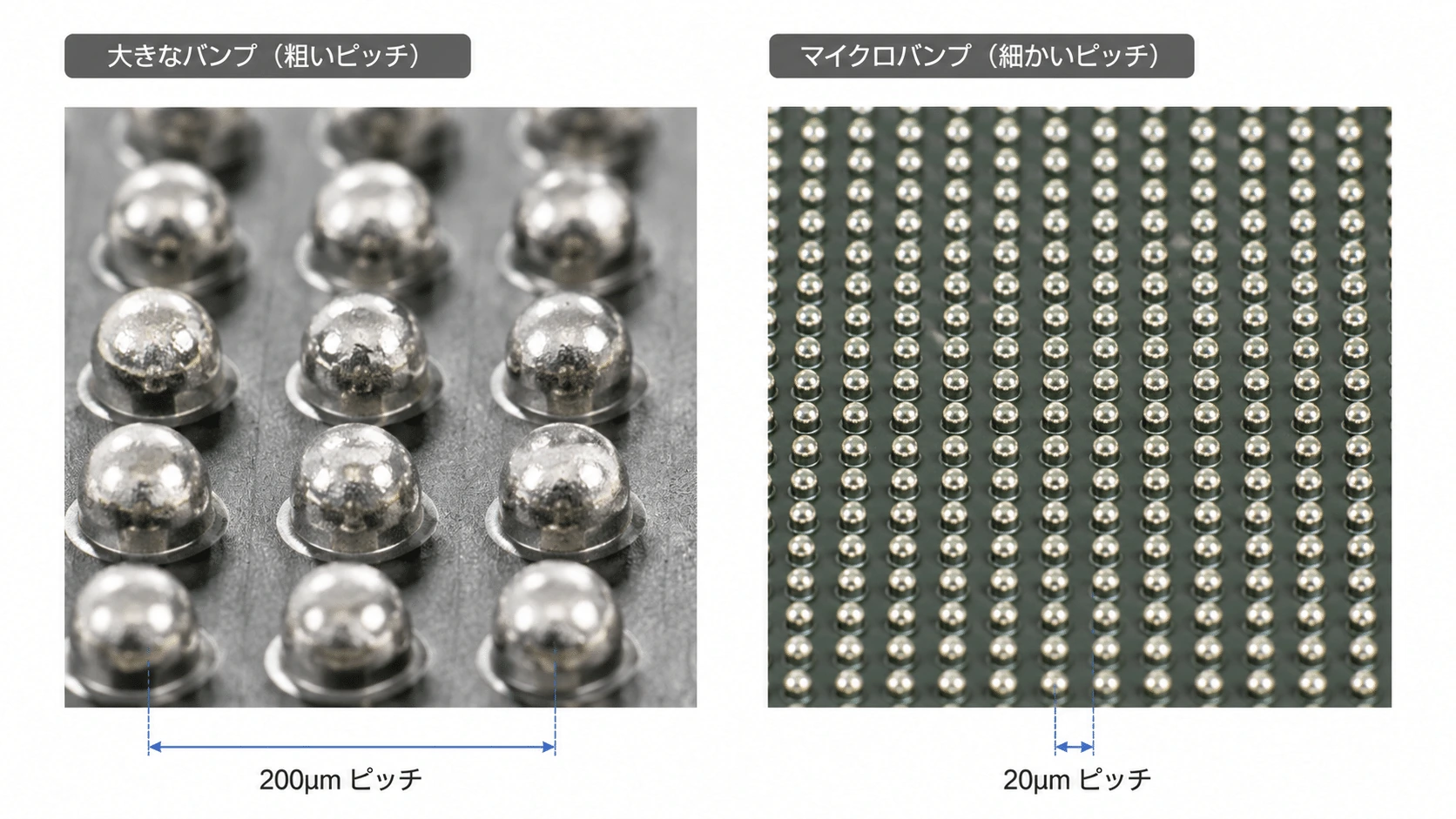 記事内の画像
