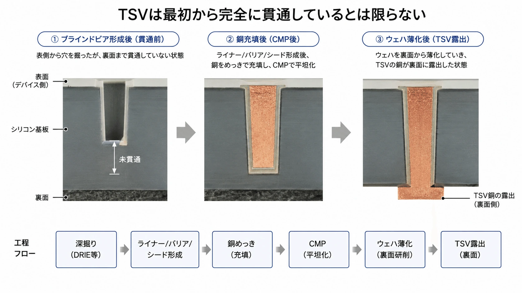 記事内の画像