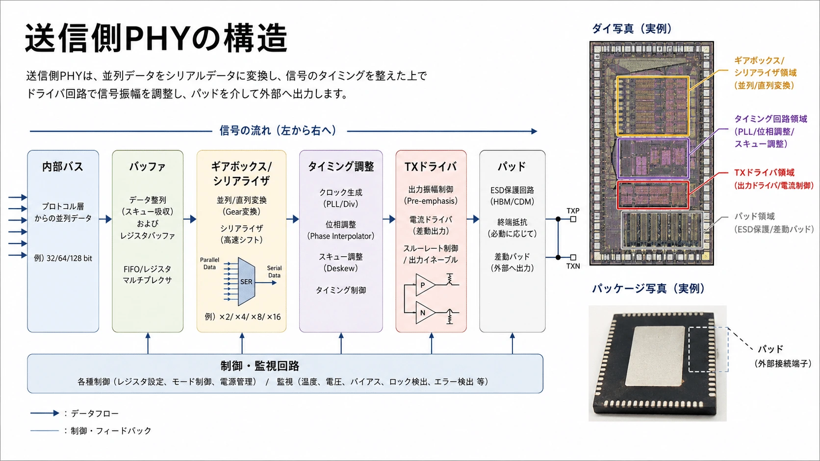 記事内の画像