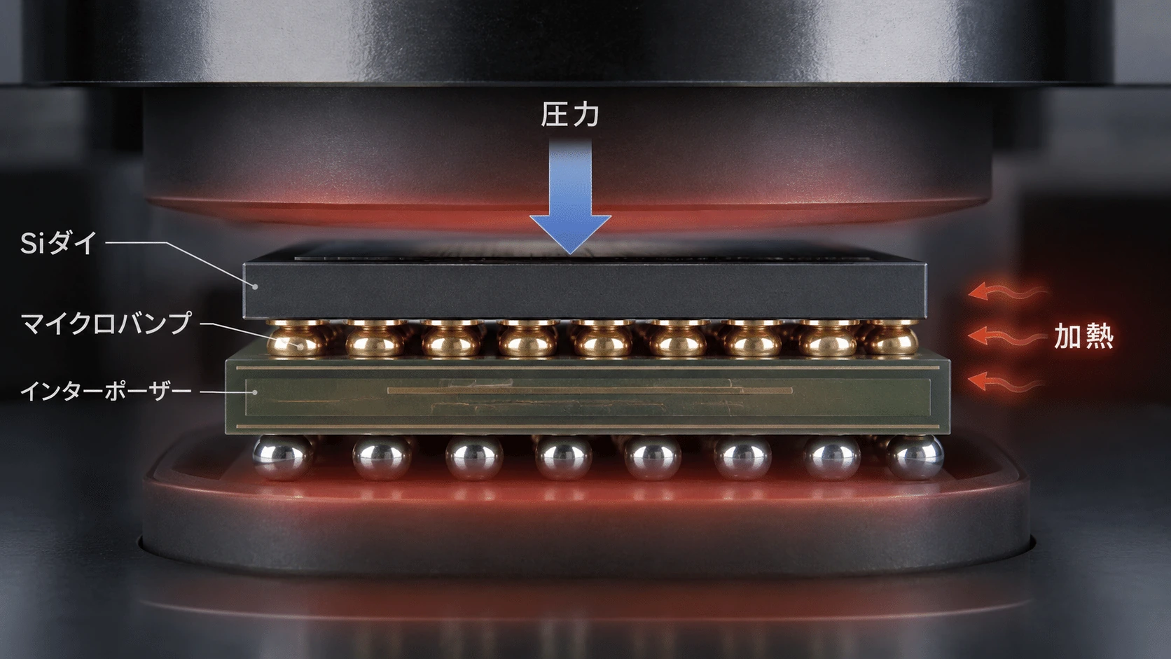 記事内の画像