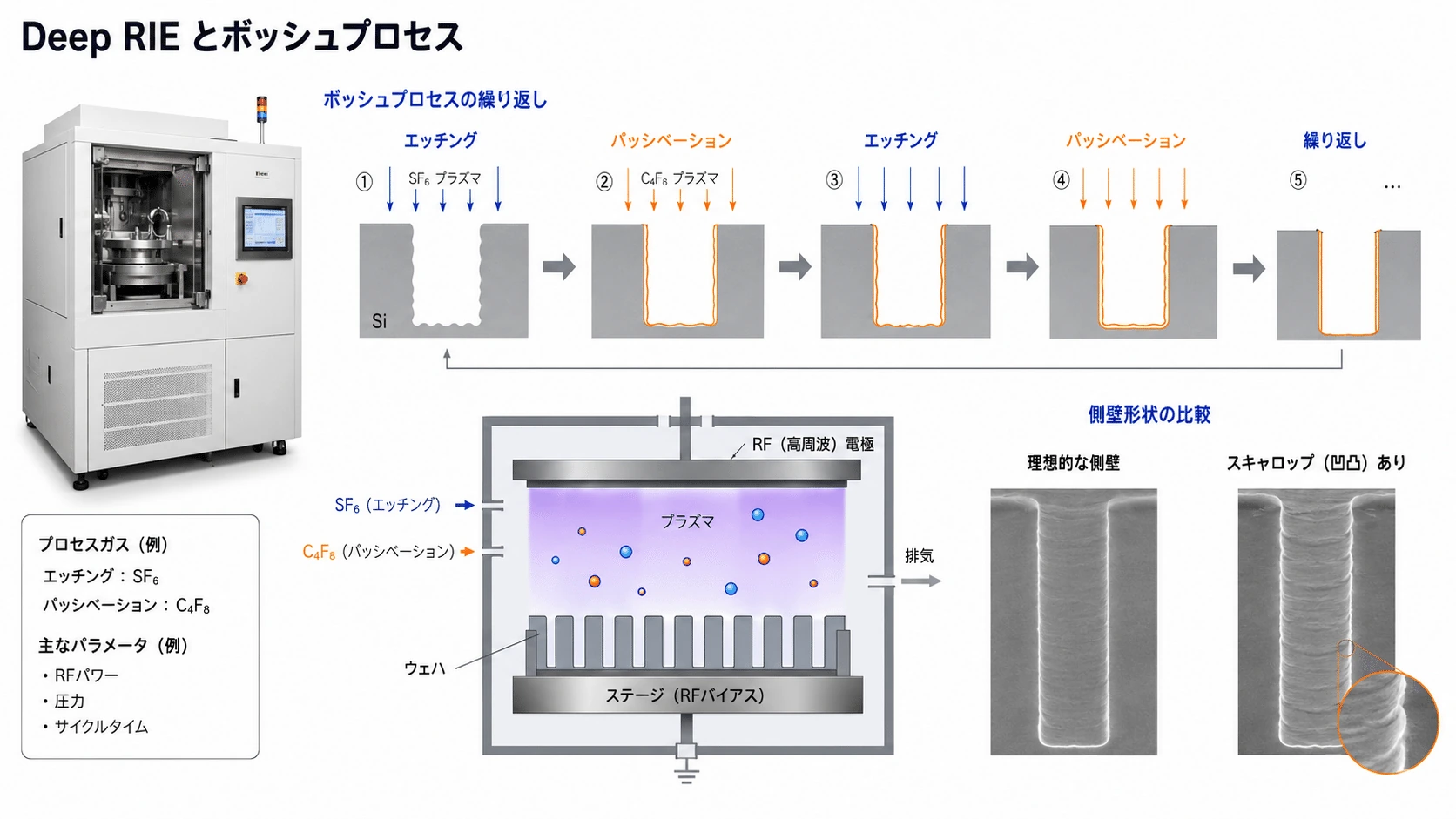 記事内の画像