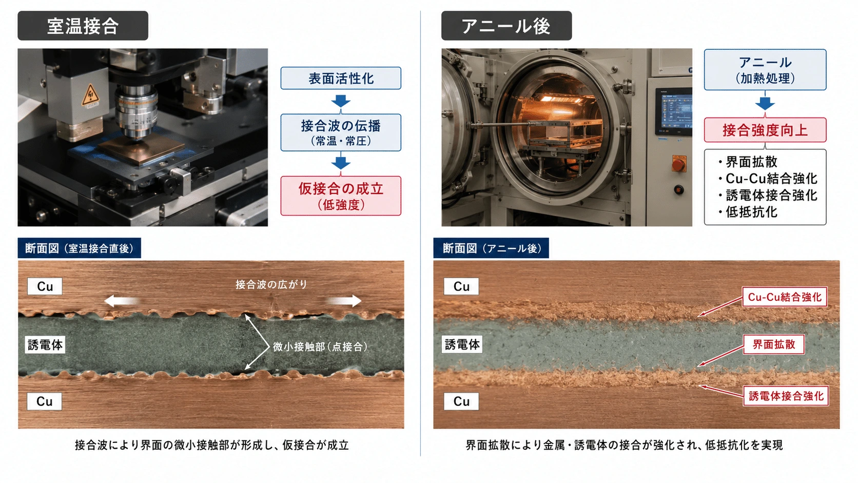 記事内の画像