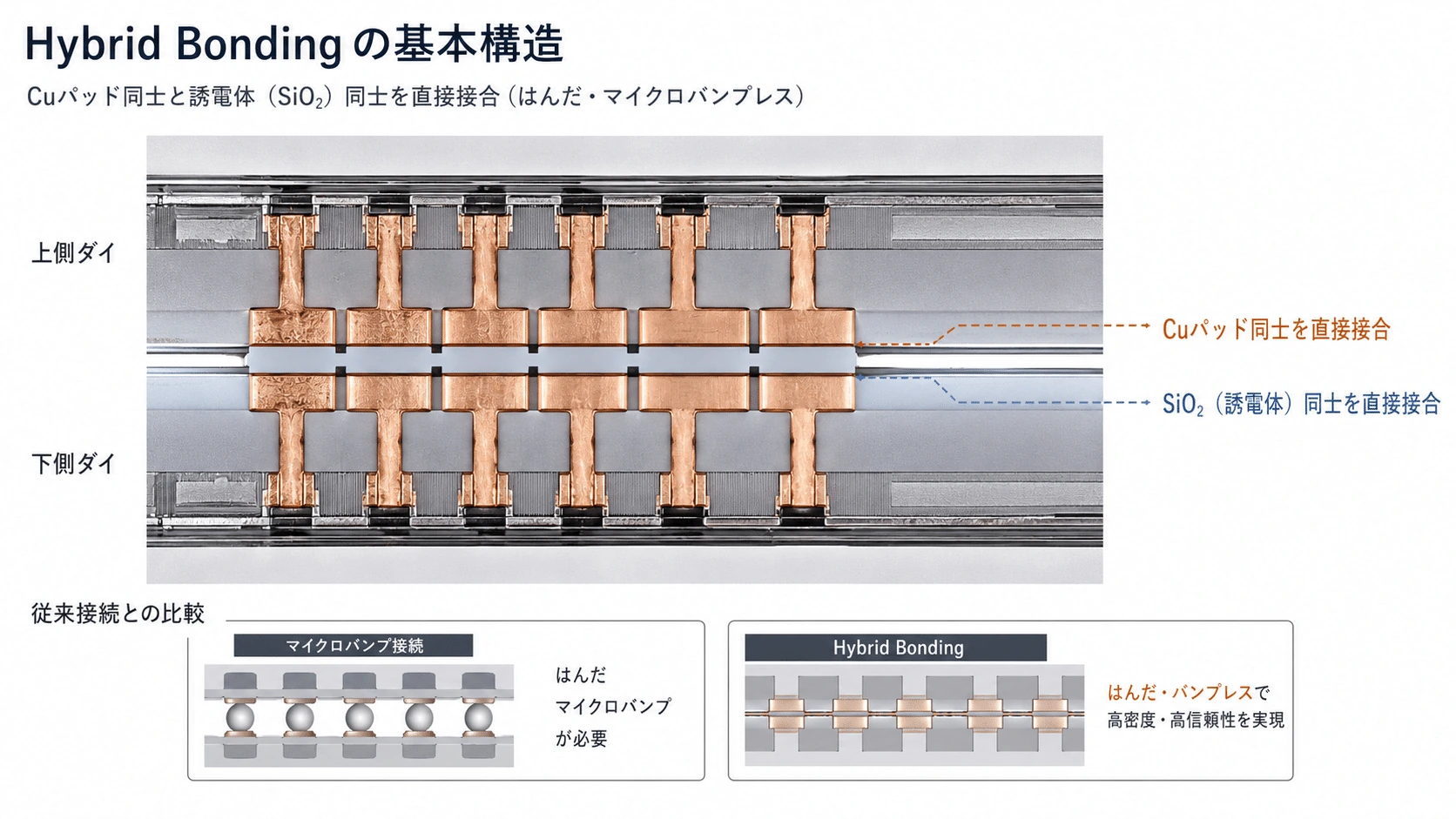 記事内の画像