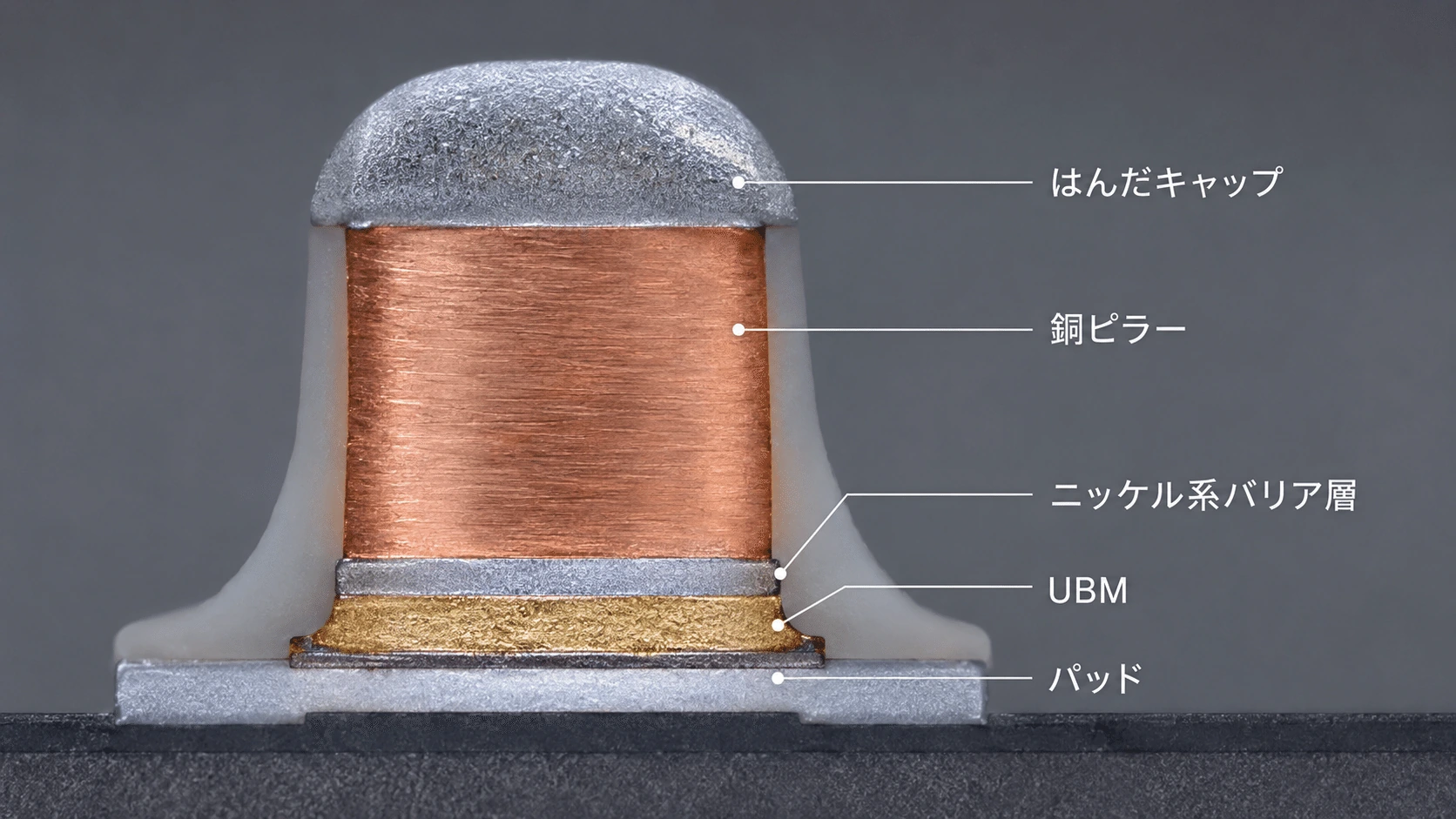 記事内の画像