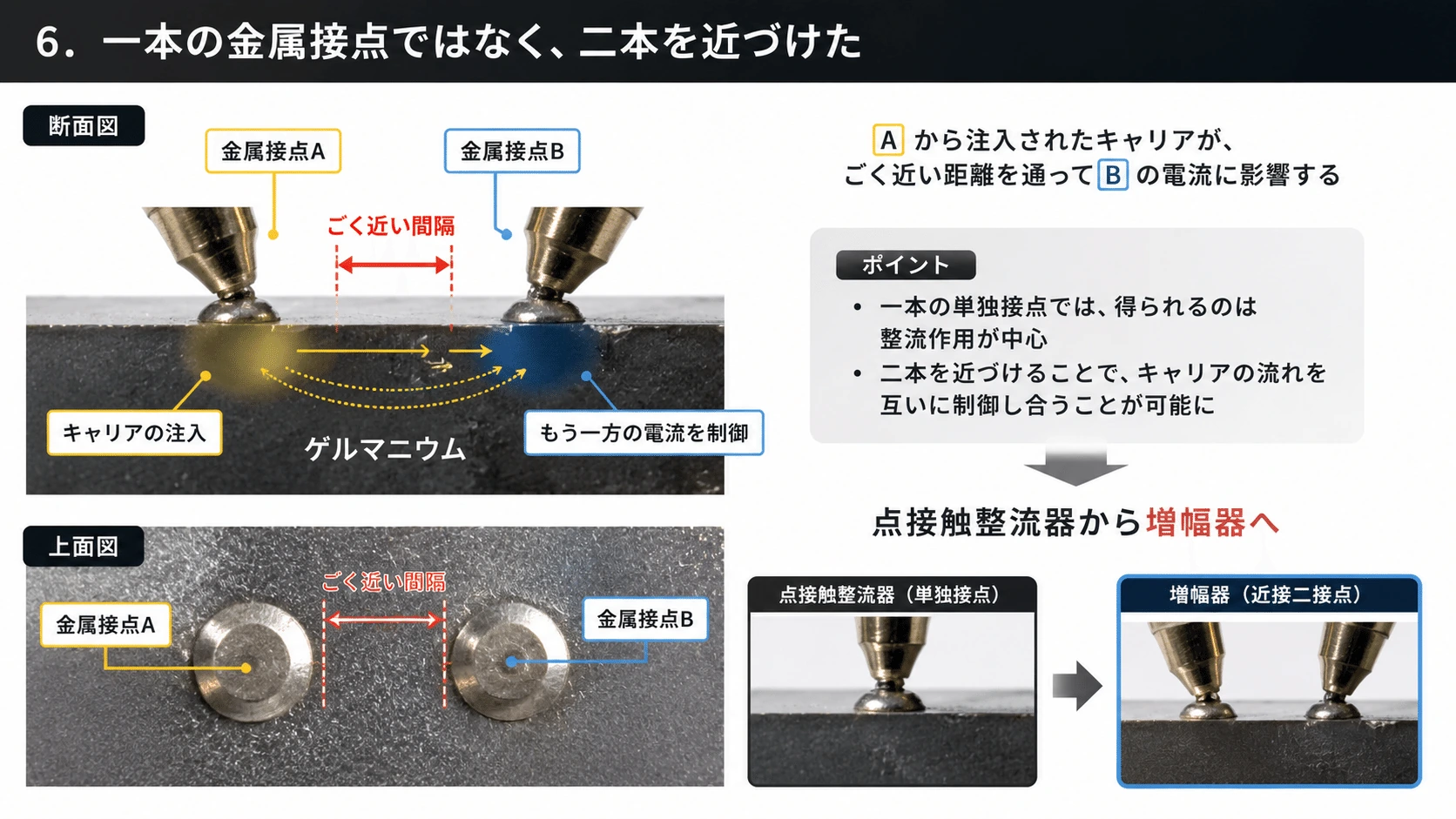 記事内の画像