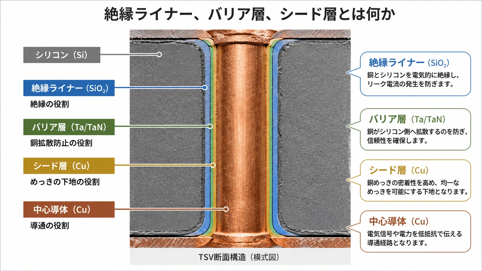 記事内の画像