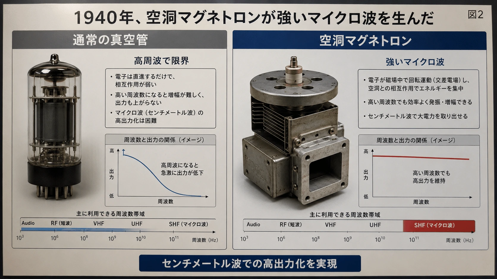 記事内の画像