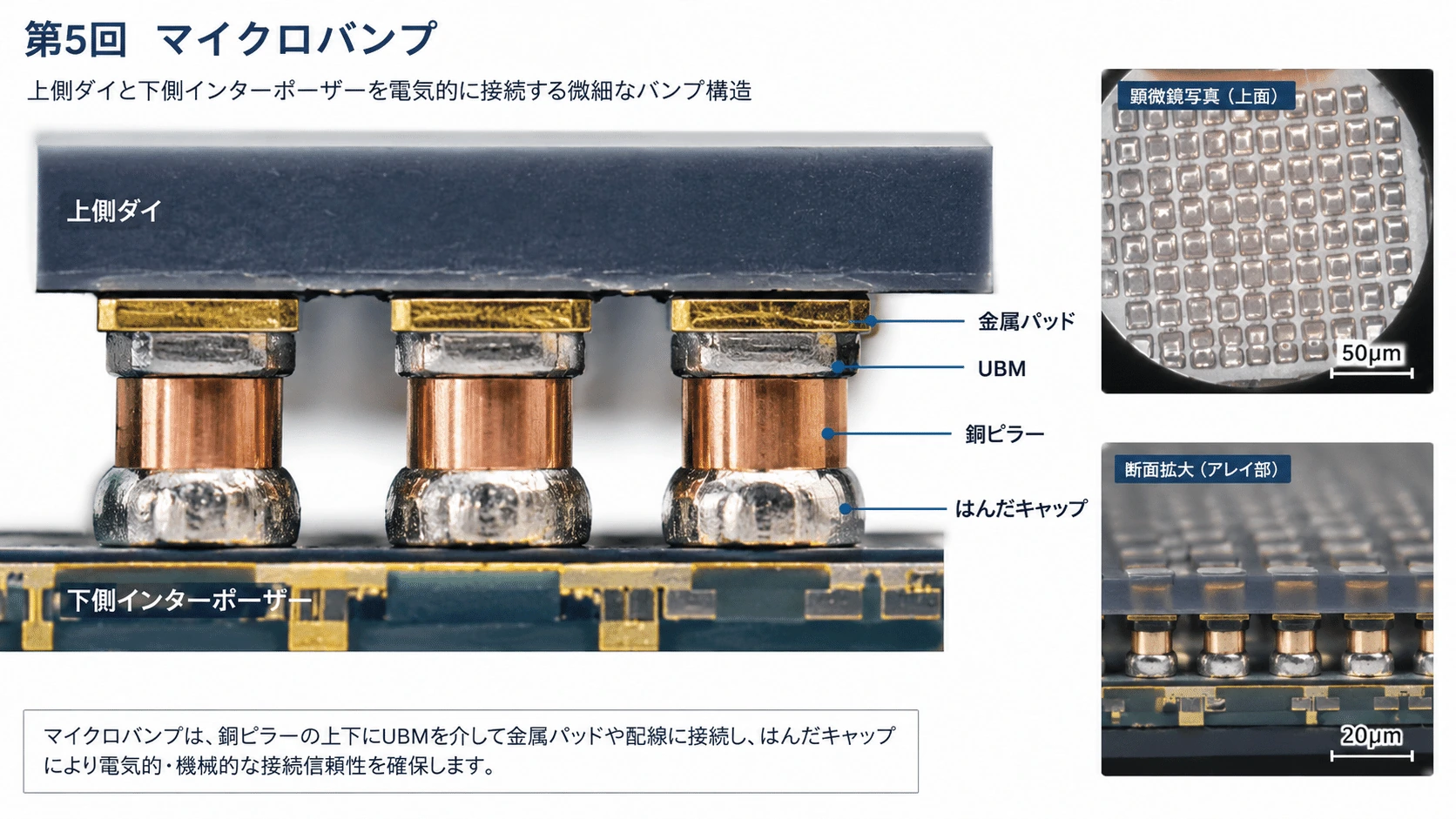 記事内の画像