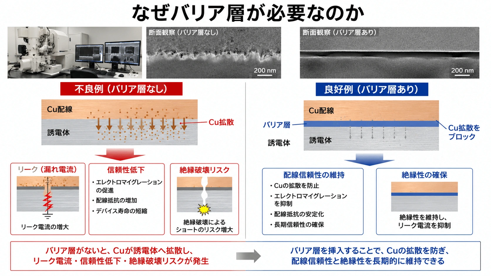 記事内の画像