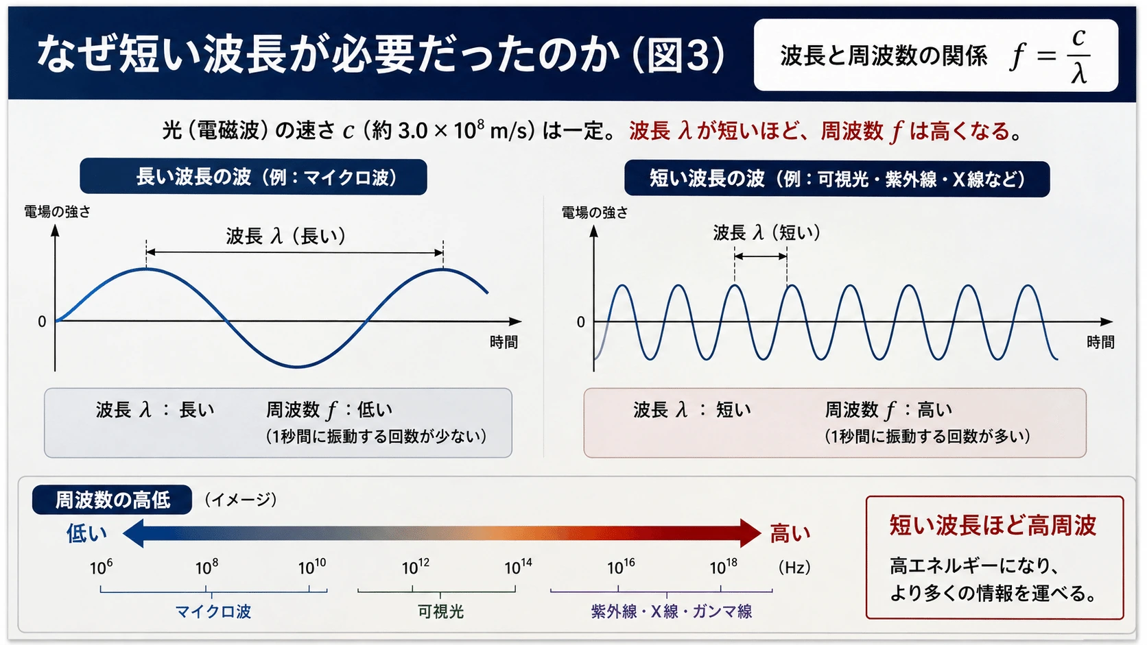 記事内の画像