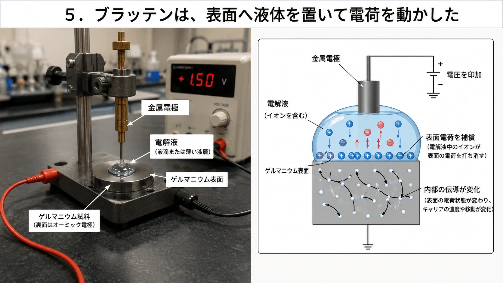 記事内の画像