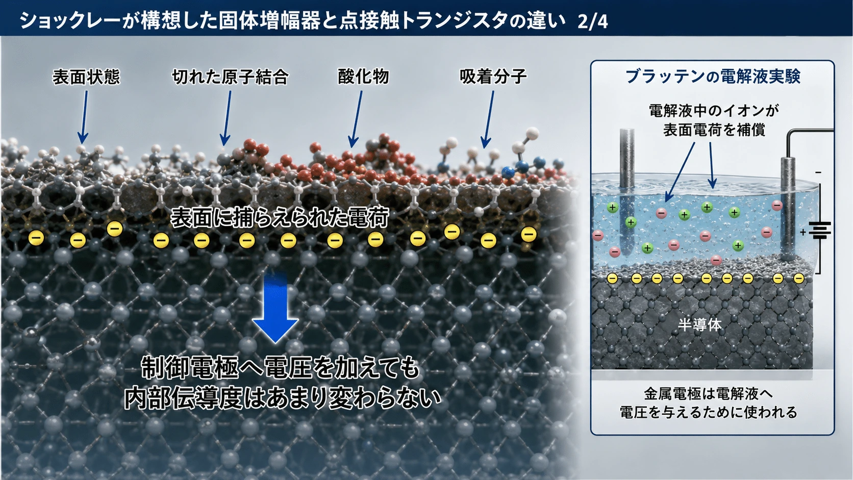 記事内の画像