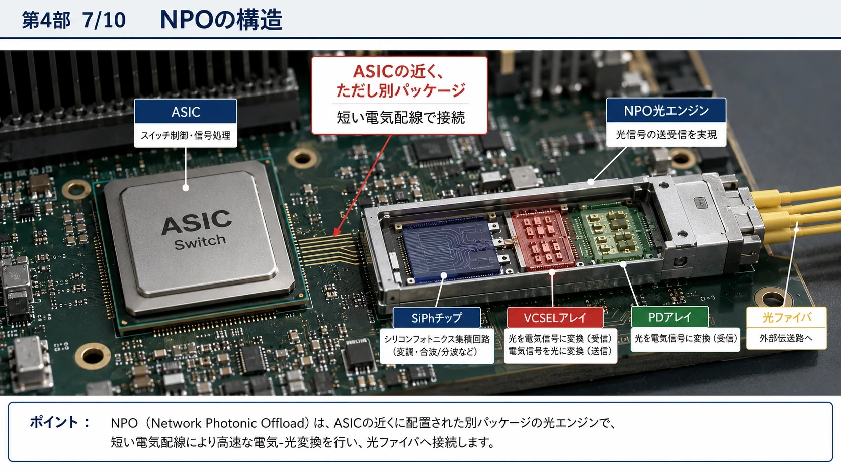 NPO・CPOの構造と配置差 01
