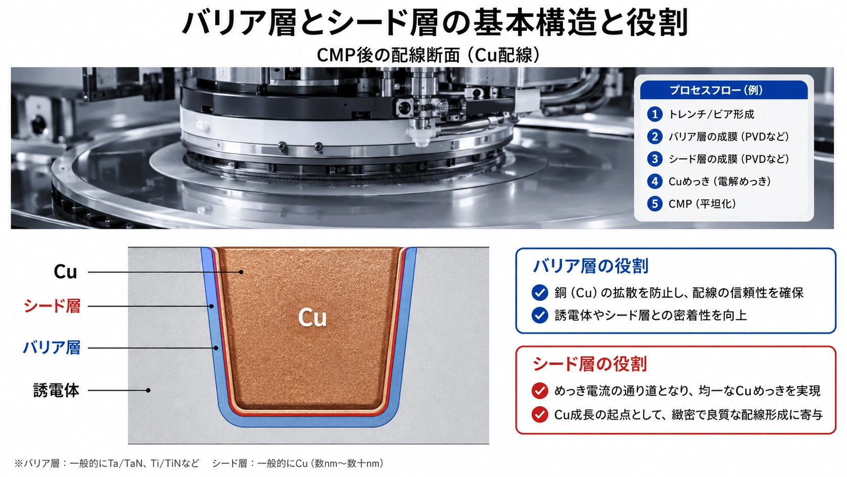 記事内の画像